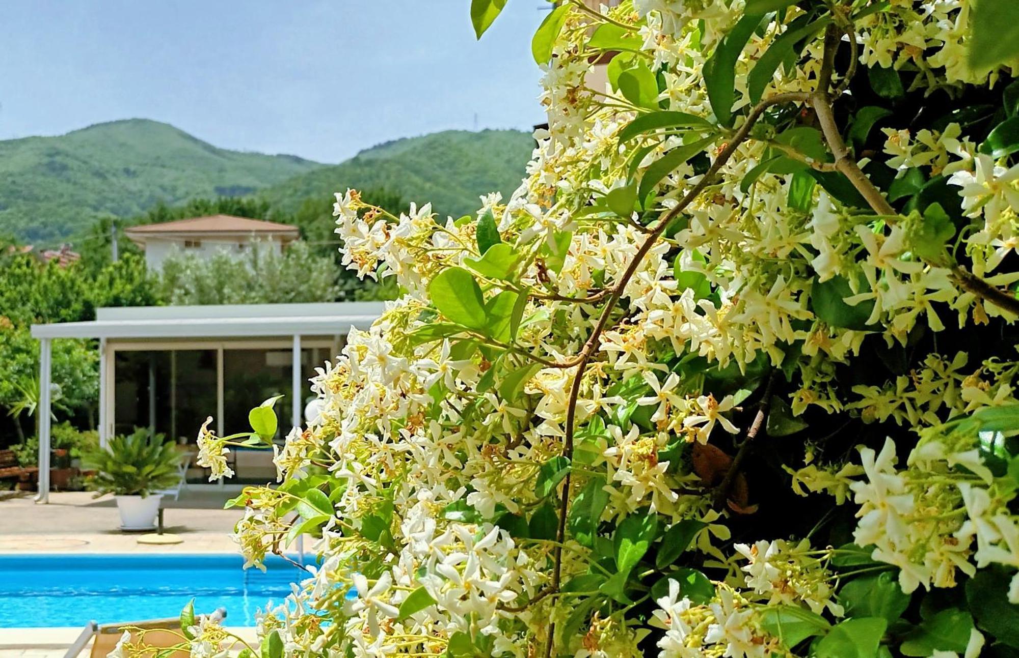 Bed and Breakfast La Residenza Del Marchesato Marano Marchesato Exteriér fotografie